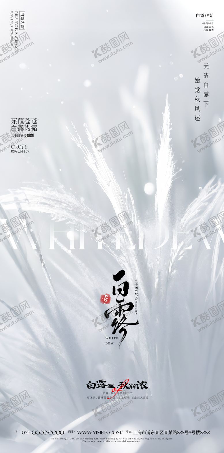 编号：62379110252304447682【酷图网】源文件下载-白露海报