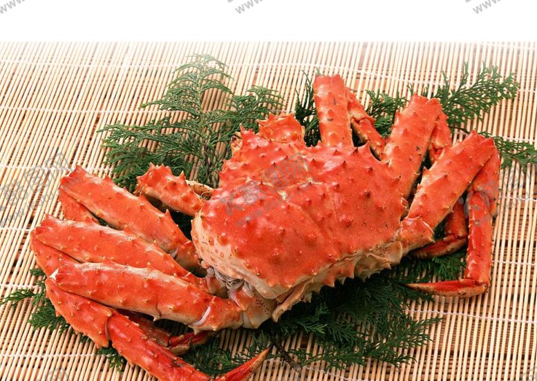 编号：59768209220433539501【酷图网】源文件下载-帝王蟹