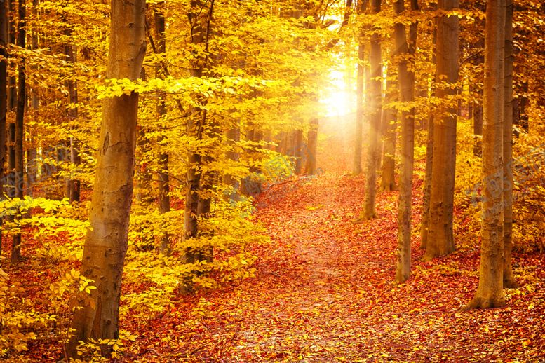 编号：79686509281011446266【酷图网】源文件下载-风景画