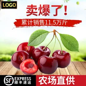 淘宝电商主图促销模板网站导航设计