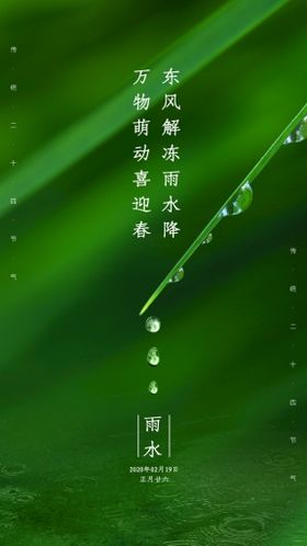 雨水