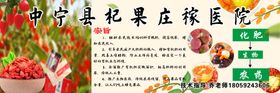 中宁枸杞