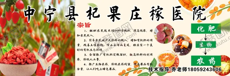 编号：64237705050945381932【酷图网】源文件下载-中宁枸杞