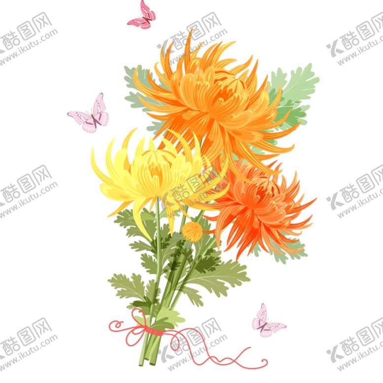 编号：29813110311917449792【酷图网】源文件下载-菊花素材