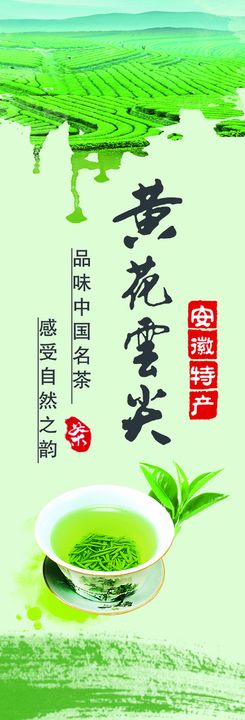 黄花云尖茶