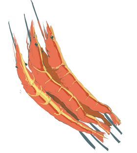 编号：03968409270714245472【酷图网】源文件下载-烤虾插画