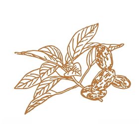 药材
