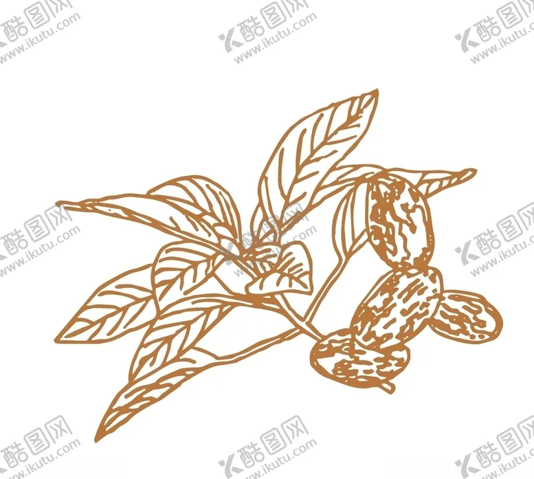编号：66071405010332457916【酷图网】源文件下载-药材