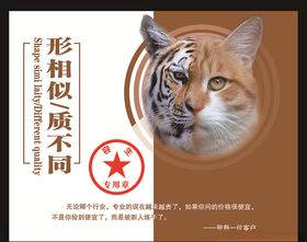 企业理念