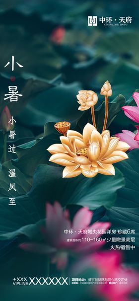 小暑微信