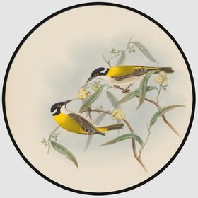 圆形装饰画圆形挂画圆形背景