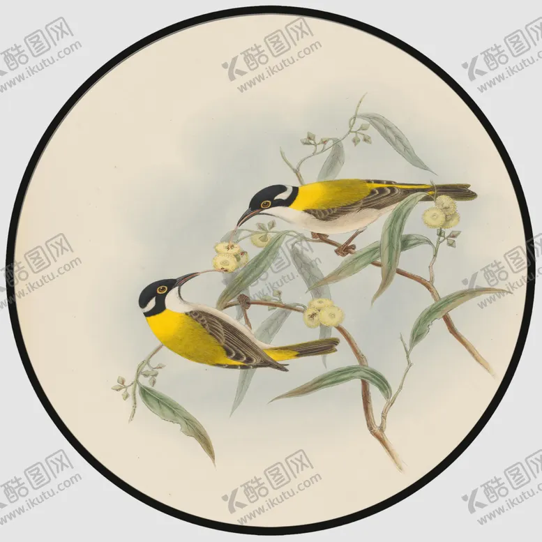 编号：39181505050054175387【酷图网】源文件下载-圆形装饰画圆形挂画圆形背景