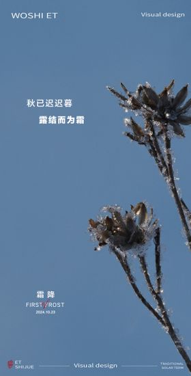 霜降节气海报