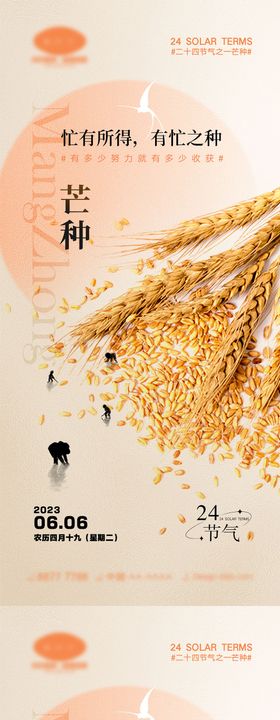 芒种节气海报