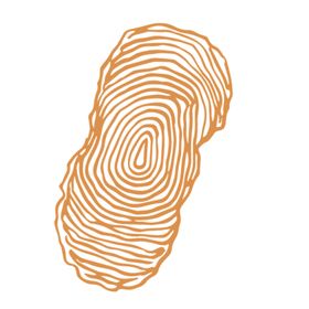 年轮木纹装饰图案