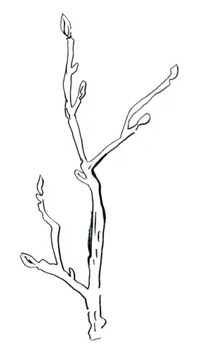 简笔绘画圆圈图案