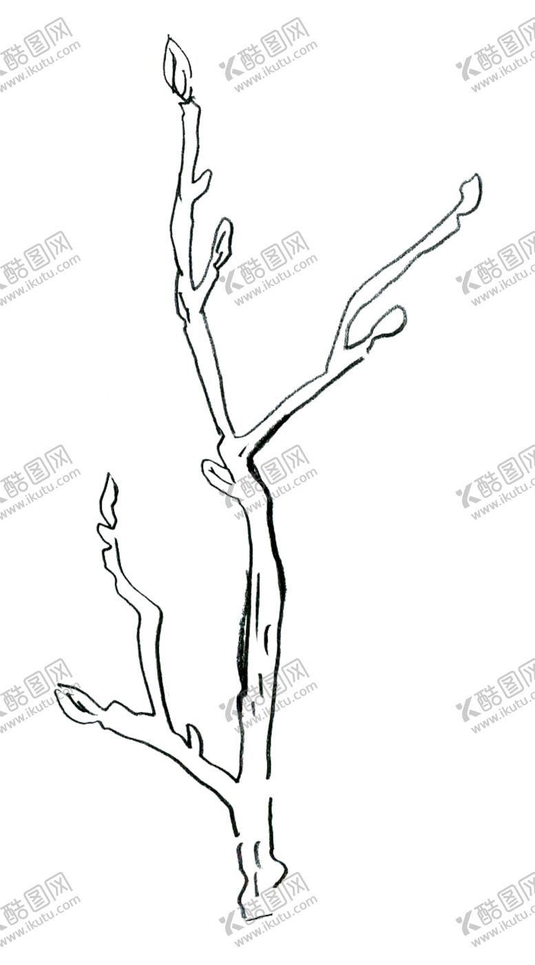 编号：83026609252222584553【酷图网】源文件下载-简笔线条树枝绘画