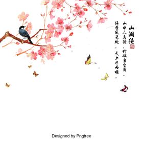 花鸟蝴蝶绘画