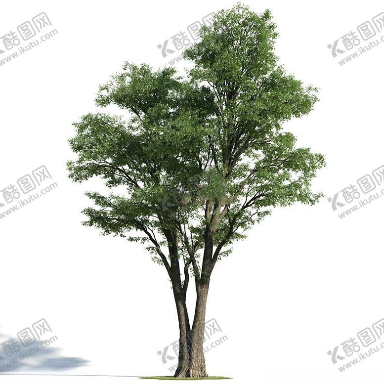 编号：13804302041907266148【酷图网】源文件下载-C4D模型树