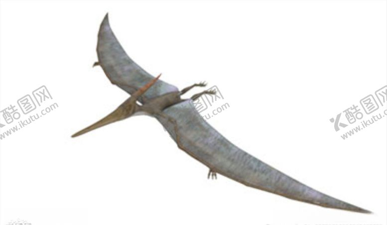 编号：25779309280855052244【酷图网】源文件下载-C4D模型恐龙