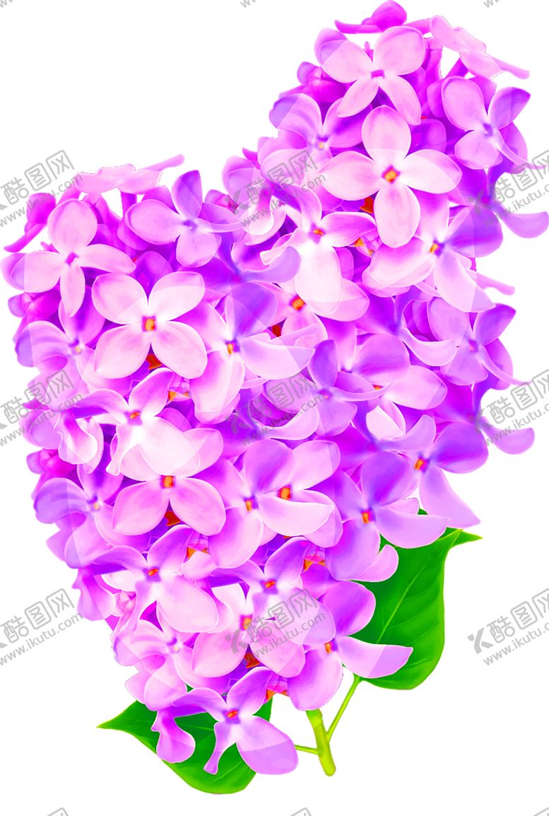 编号：76559306170650319389【酷图网】源文件下载-花素材