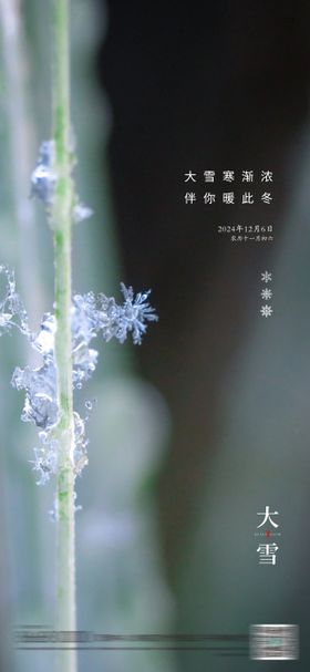 房地产大雪节气海报