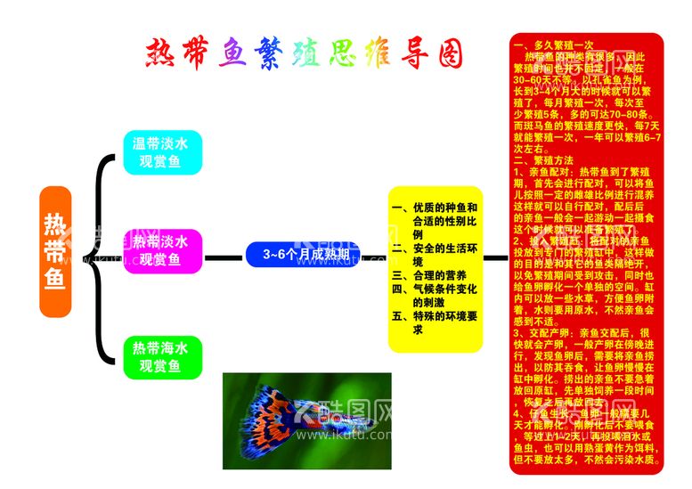 编号：23651510171042197355【酷图网】源文件下载-热带鱼导图