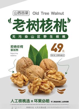 老树核桃海报