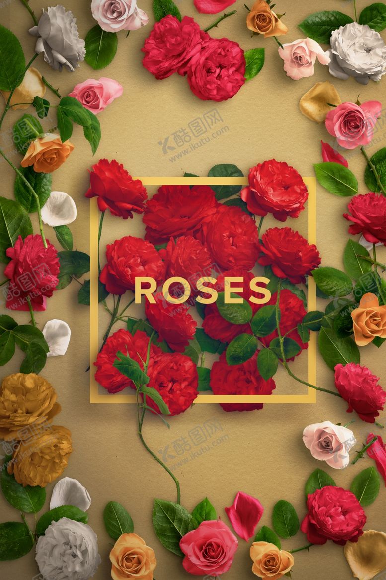 编号：59403209230819464131【酷图网】源文件下载-玫瑰花