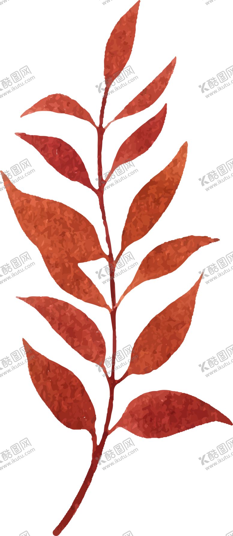 编号：24329907031923553892【酷图网】源文件下载-水彩植物