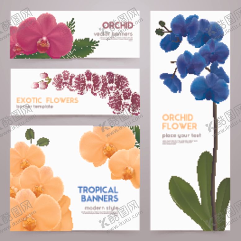 编号：53744604101217033649【酷图网】源文件下载-花卉背景