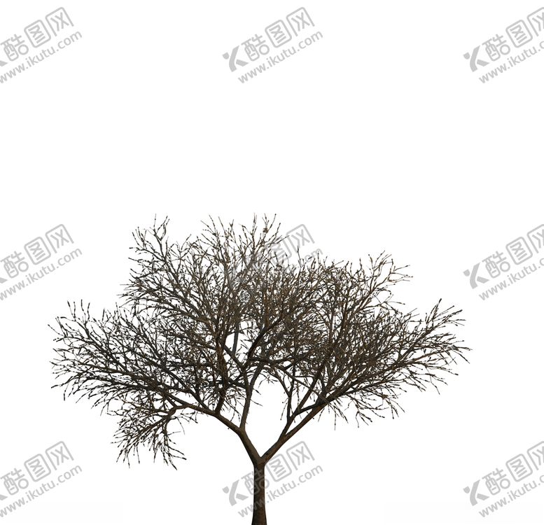 编号：86209309142226475825【酷图网】源文件下载-树木