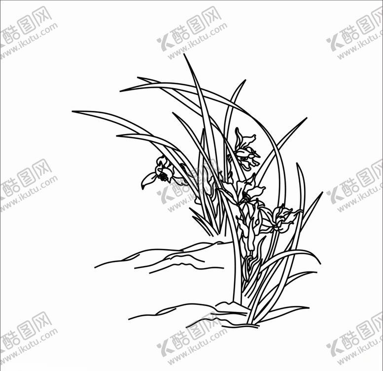 编号：74935709241321131468【酷图网】源文件下载-白描兰花