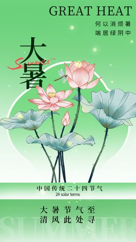二十四节气小暑海报大24