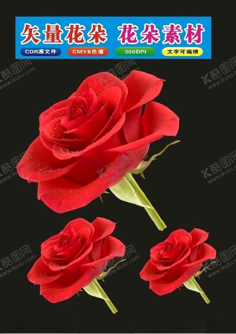 编号：30660109240048383149【酷图网】源文件下载-花卉牡丹边框