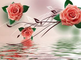 玫瑰花波纹