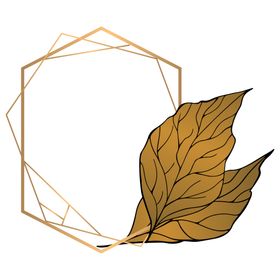 金色边框植物花环png免抠图留言