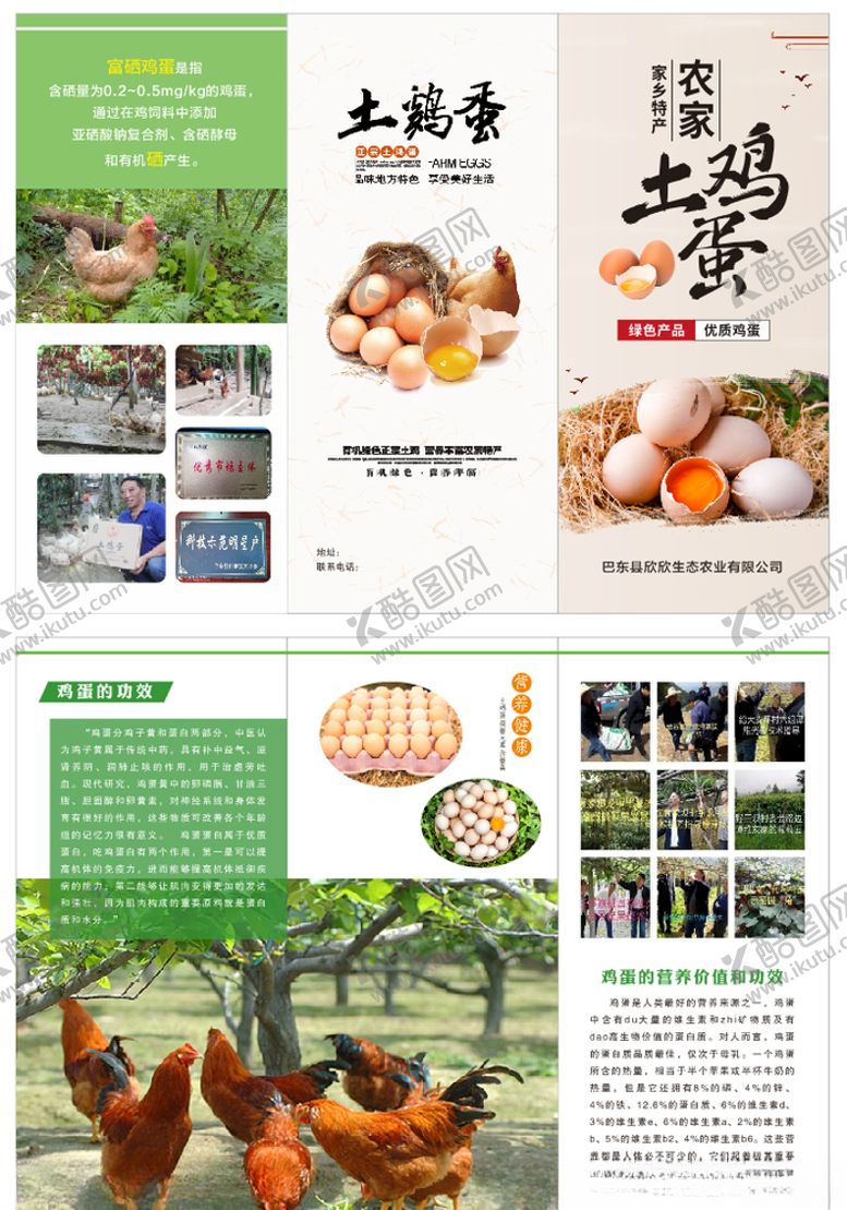 编号：33866309242051132365【酷图网】源文件下载-土鸡蛋