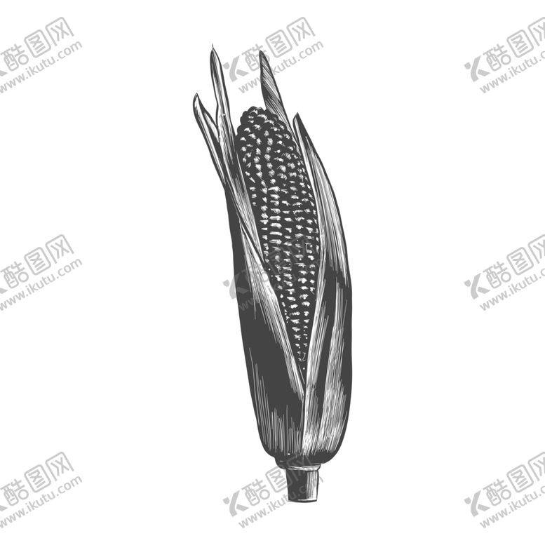 编号：21061707011630179494【酷图网】源文件下载-素描蔬菜