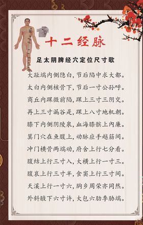 足太阴脾经穴定位尺寸歌