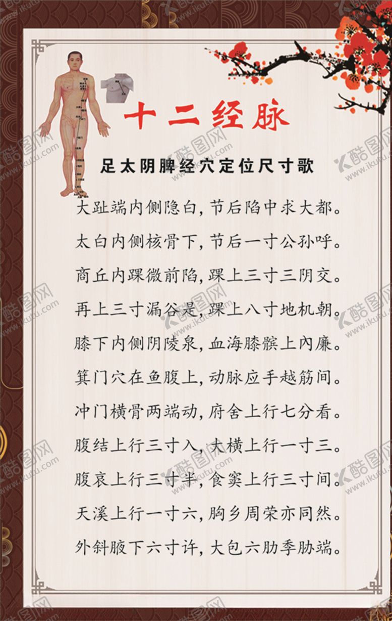 编号：94179809171024123636【酷图网】源文件下载-足太阴脾经穴定位尺寸歌