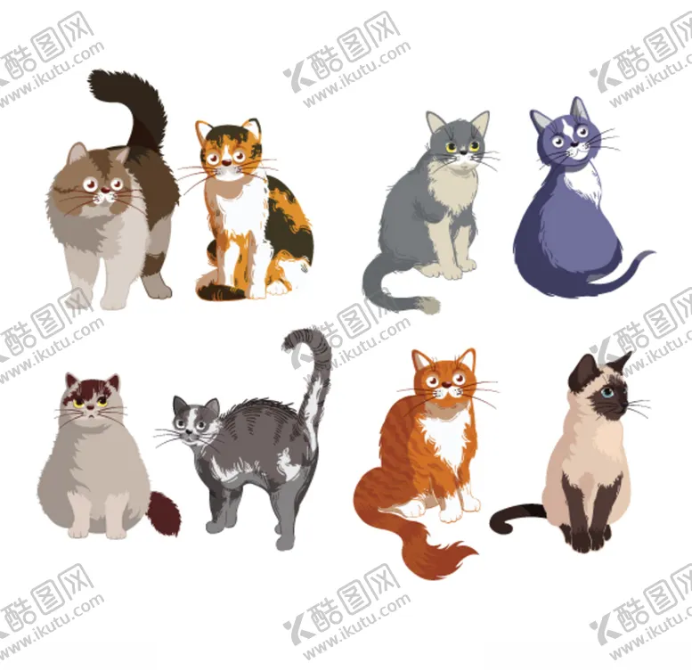 编号：44022206292125569984【酷图网】源文件下载-卡通猫