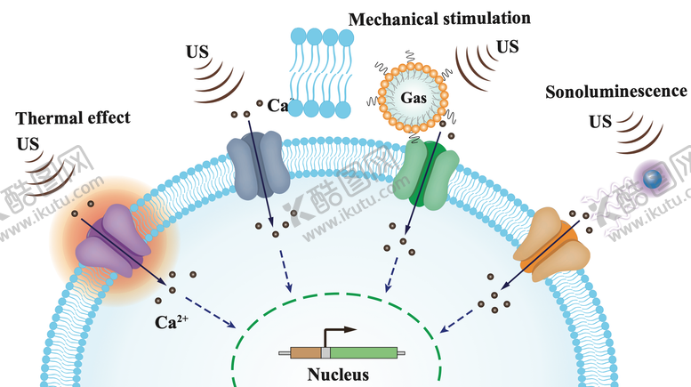 编号：23574602150106016622【酷图网】源文件下载-声遗传学说明