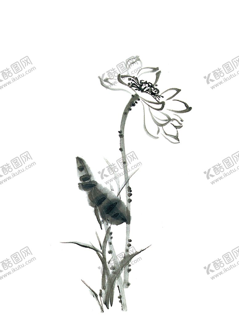 编号：15688905040303443897【酷图网】源文件下载-水墨荷花粉色荷花荷花意境