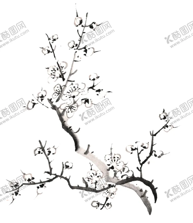 编号：85414407022001466737【酷图网】源文件下载-中国风古典水墨梅花