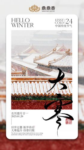 大寒节气海报简约高级质感
