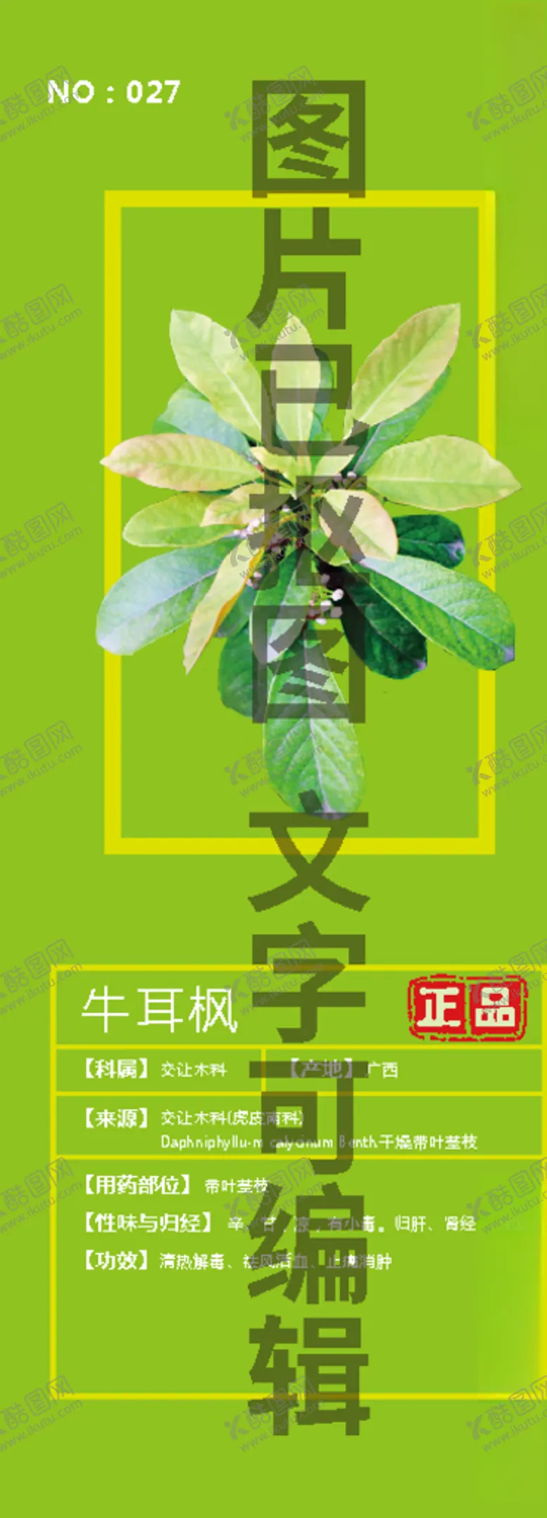 编号：72011006160226164845【酷图网】源文件下载-牛耳枫