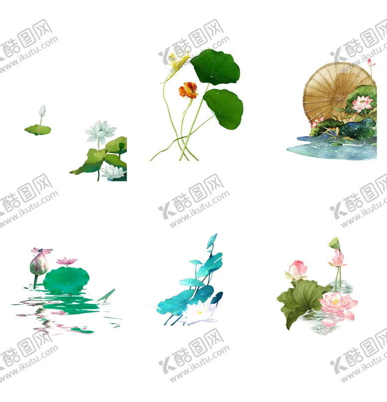 编号：14938209221348467053【酷图网】源文件下载-荷花