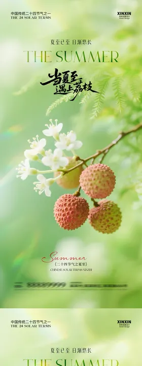 夏至荔枝节气海报