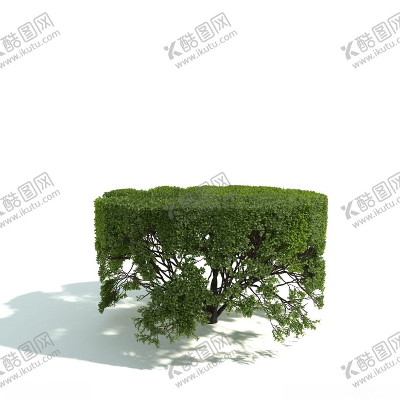 编号：47412802072336513359【酷图网】源文件下载-C4D模型绿色植物